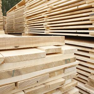 Все продукты деревообработки. Что сегодня производят из древесины?