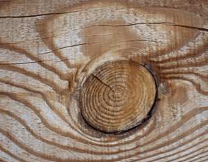 Выявление скрытых дефектов пиломатериалов перед обработкой