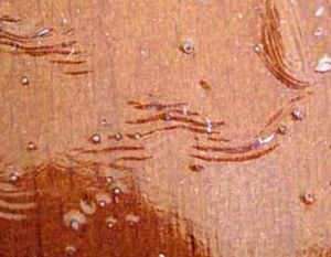 Удаление пузырьков воздуха с покрытия