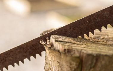 Начинающий деревообработчик: выполнение надрезов ручной пилой