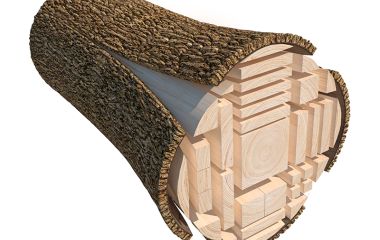 Современные способы распиловки круглых лесоматериалов