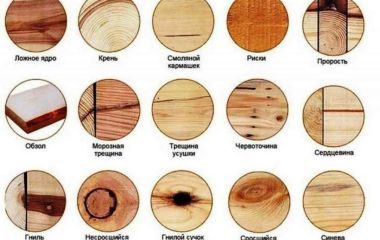 Пороки древесины