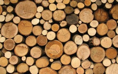 Секреты обработки мягких пород древесины: как избежать вмятин и трещин