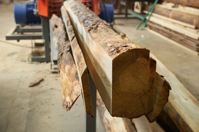 Бревнопильный станок для тонкомера Триумф С750